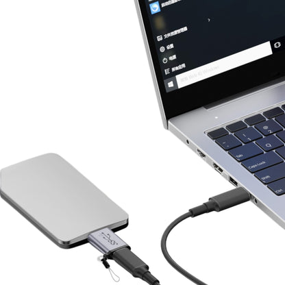 Adaptateur OTG USB-C femelle vers Micro-B mâle